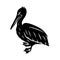 Black pelican sign.
