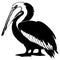 Black pelican on white background. Animals line art. Logo design for use in graphics. Print for T-shirts, design for tattoos