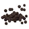 Black pepper closeup vector illustration