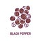 Black pepper color line icon. Spices, seasoning. Cooking ingredient. Pictogram for web page