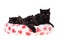 Black persian kittens valentine isolated