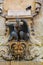 Black pigeon sitting on public drinking fountain, decorated with sculptures of eagle and male face