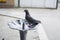 Black Pigeon in water fountain