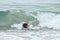 Black pit bull fetching toy in the waves in the Pacific Ocean