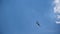 Black plane flies in sky, releasing smoke. Aircraft performs loops at air show. Transport device makes unusual maneuvers