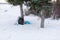 black plastic bags full of garbage stand in park under tree. Environmental pollution. Problem of ecology