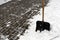 Black plastic snow shovel and pavement.