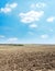 Black plowed agriculture field after harvesting and blue sky with white clouds