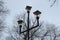 Black pole with three lamps lanterns on a background of gray branches and the sky