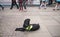 Black police dog lying on the ground relaxing. The dog has a harness saying Police - Explosives Search Dog. People passing by in t