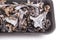 Black polythene tray full of Horn of Plenty mushrooms