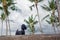 Black poodle dog on edge of fence against tropical palm trees and stormy overcast. Cute doggy under cloudy sky in