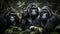 Black primate group sitting in tropical rainforest, staring at camera generated by AI