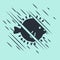 Black Puffer fish icon isolated on green background. Fugu fish japanese puffer fish. Glitch style. Vector