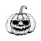 Black Pumpkin outline icon, Halloween holiday symbol isolated on
