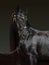 Black purebred horse portrait in dark backdround