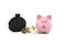 Black purse crumpled banknotes and piggy bank