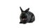 Black rabbit isolated on white background sticking his tongue out