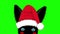 Black Rabbit with Santa Hat Sneaking. Greeting Card Christmas Day.