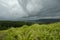 Black rainy clouds cover the forest and grass field