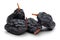 Black raisin isolated on white