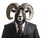 Black ram wearing business suit and tie standing isolated on white, half body corporate portrait. Realistic generative AI