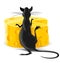 Black rat eating yellow cheese illustration