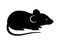 Black rat, mouse, rodent, cute silhouette. Vector