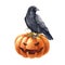 Black raven bird on pumpkin. Watercolor halloween illustration. Halloween decorative element. Black crow on scary jack