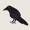 Black Raven or Crow bird. Side view. Cartoon style, flat design.