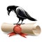 Black raven and diploma