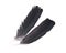 Black raven feather