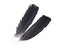 Black raven feather