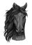 Black raven horse full face artistic portrait