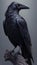 Black raven, mysterious gothic fantasy. AI generative. Scarey