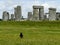 Black raven in the Stonehenge (Wiltshire, England)