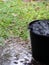 Black recycling plastic bucket on the floor outdoor surrounding with green area environment,  raindrops splash and reflection o