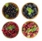 Black and red berries isolated on white. Blackberries, currants and raspberry. Collage of different fruits and berries. Berry on a