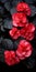 Black And Red Flowers: A Monochromatic Garden Of Photorealistic Beauty