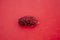  Black And Red Ripe Mulberry Fruit On Red Background