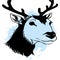 Black reindeer on a white background. Animals line art. Logo design, for use in graphics, pattern for t-shirts.