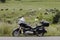 Black retro motorcycle on a background of a clearing with cows