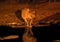 Black Rhino by a waterhole at night