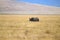 Black rhinoceros on Ngorongoro Conservation Area crater, Tanzania