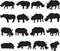 Black rhinoceros and white rhinoceros silhouette contour