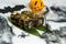 Black rice Sushi Roll with Halloween decoration: Spiders, bat, black spider web and little pumpkin with scary painted face