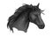 Black riding horse sketch of arabian stallion