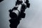 Black rifle optical sight on black background