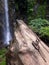 black rings and prayer beads with a cool background of a waterfall in the Tasikmalaya rhino waterfall