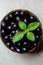 Black ripe Syzygium cumini fruits. Dark black java plum in a wood bowl at isolated white background. Green mint leaf on top of